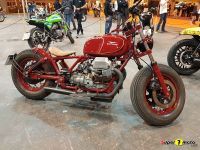 Mulafest_2019_11
