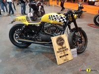 Mulafest_2019_12