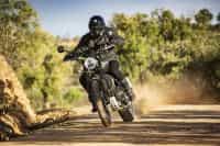 NDP_TRIUMPH_SCRAMBLER1200_FARO_16