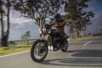 NDP_TRIUMPH_SCRAMBLER1200_FARO_46