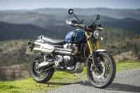 NDP_TRIUMPH_SCRAMBLER1200_FARO_62