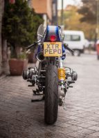 Pepo-XTR-Continental-13-scaled