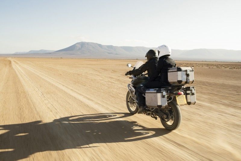 Ndp Triumph Tiger 900 100