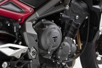 Ndp_Triumph_StreetTripleR_17