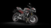 Ndp_Triumph_StreetTripleR_39