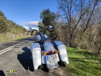 Harley-Davidson_Road_King_Special_8