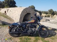 Harley-Davidson-1200-Iron-10