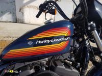 Harley-Davidson-1200-Iron-19