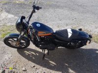 Harley-Davidson-1200-Iron-26