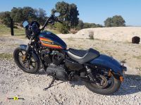 Harley-Davidson-1200-Iron-4