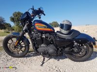 Harley-Davidson-1200-Iron-5
