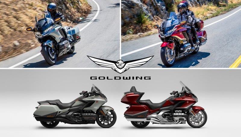 GoldWing2021 2