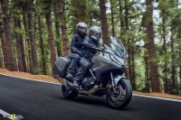 348206_2022_HONDA_NT1100