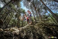 345522_Montesa_Cota_301RR_Race_Replica