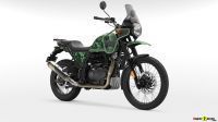 D3G_Pine_Green_003