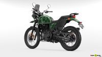 D3G_Pine_Green_006