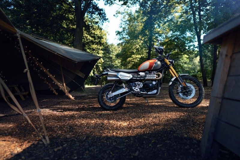 Ndp Triumph GoldLine 49