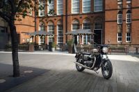 Ndp_Triumph_GoldLine_04