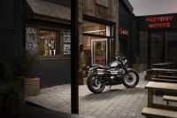 Ndp_Triumph_GoldLine_16