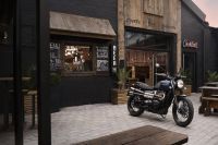 Ndp_Triumph_GoldLine_17
