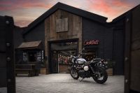 Ndp_Triumph_GoldLine_19