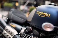 Ndp_Triumph_GoldLine_22