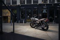 Ndp_Triumph_GoldLine_33