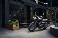 Ndp_Triumph_GoldLine_34