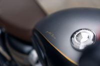 Ndp_Triumph_GoldLine_37