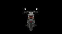 Ndp_Triumph_GoldLine_40