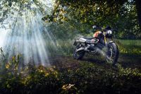 Ndp_Triumph_GoldLine_46