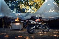 Ndp_Triumph_GoldLine_47