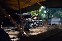 Ndp_Triumph_GoldLine_48