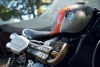Ndp_Triumph_GoldLine_51