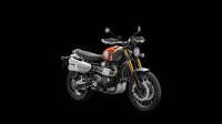 Ndp_Triumph_GoldLine_55