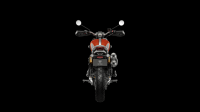Ndp_Triumph_GoldLine_56