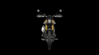 Ndp_Triumph_GoldLine_57
