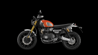 Ndp_Triumph_GoldLine_58
