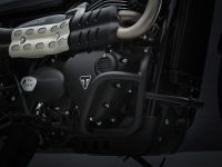 Ndp_Triumph_StreetScrambler2021_22