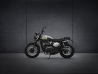 Ndp_Triumph_StreetScrambler2021_27