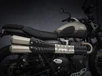 Ndp_Triumph_StreetScrambler2021_35