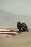 Ndp_Triumph_SpeedTriple1200RR_15