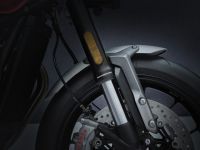 Ndp_Triumph_Speed_Twin_2021_12