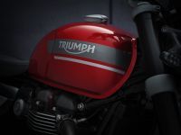 Ndp_Triumph_Speed_Twin_2021_15