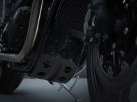 Ndp_Triumph_Speed_Twin_2021_18
