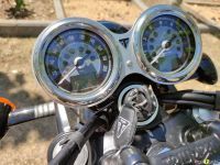 Triumph_T100_2021_Super7moto_1