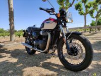 Triumph_T100_2021_Super7moto_11