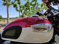 Triumph_T100_2021_Super7moto_16