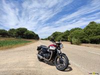 Triumph_T100_2021_Super7moto_2