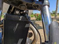 Triumph_T100_2021_Super7moto_21